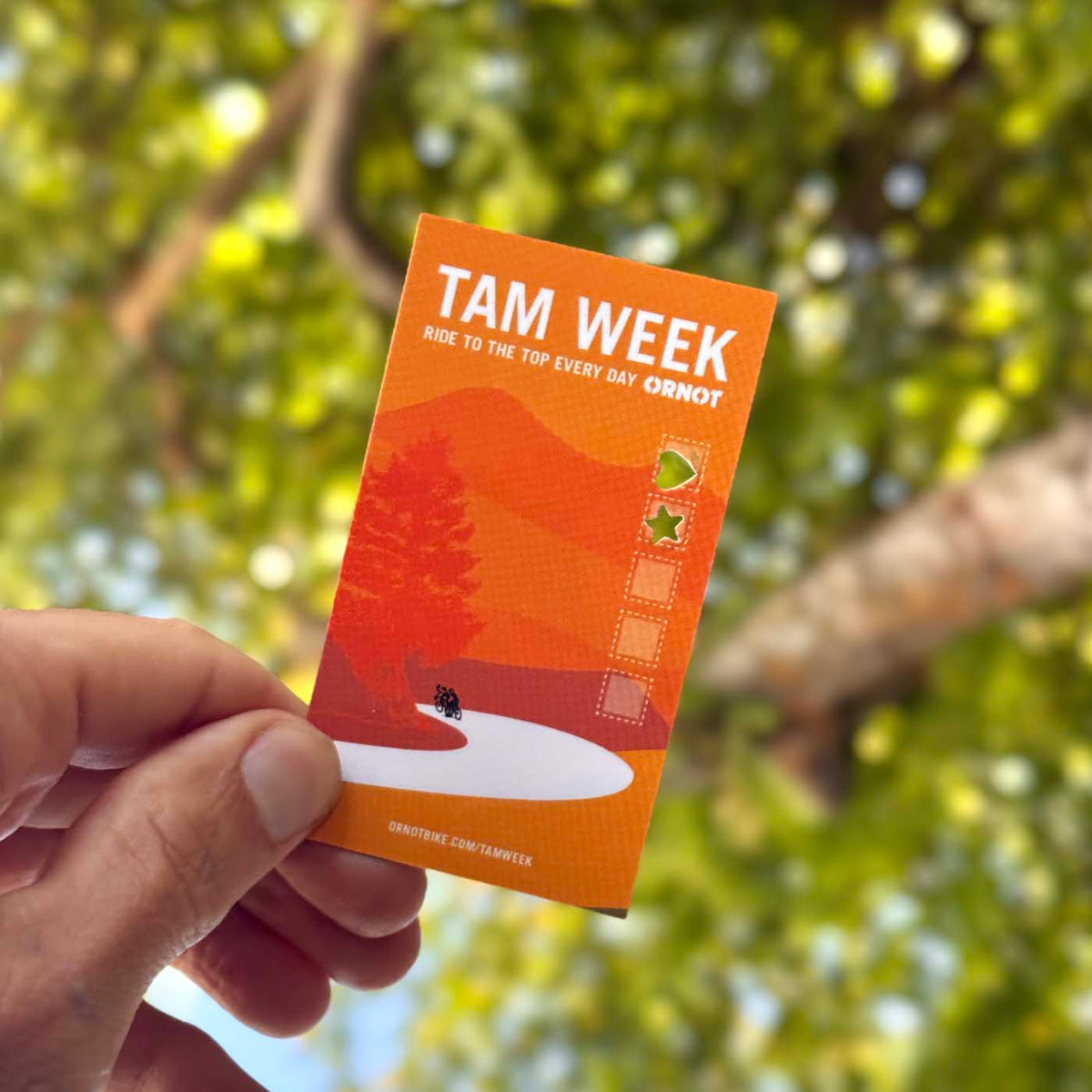 Tam Week 2025 Recap